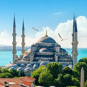 miran.istanbul-turkeyhotels.com/